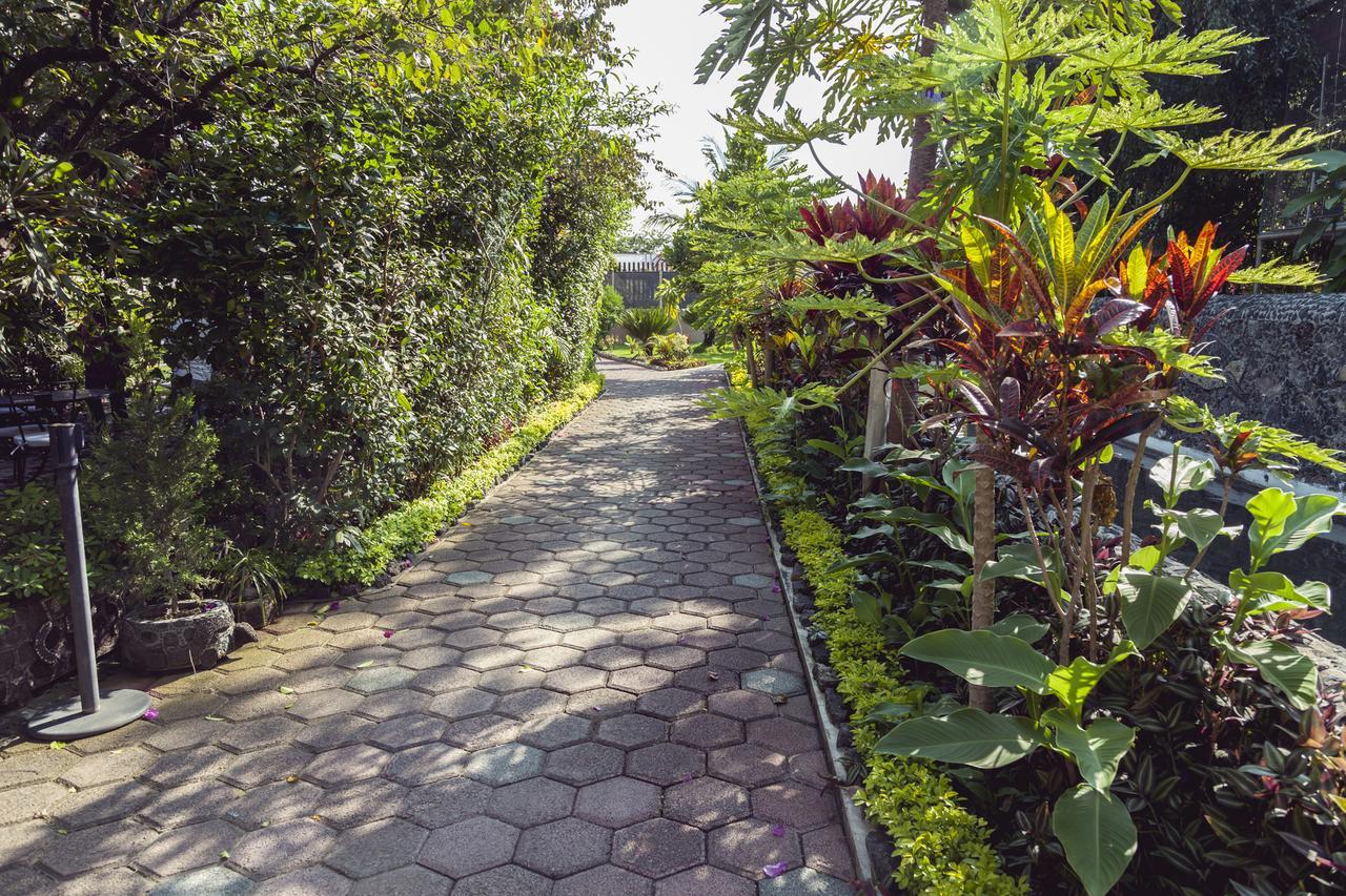 Bungalows Y Temazcal Zoviq Hotel โซชิเตเปก ภายนอก รูปภาพ