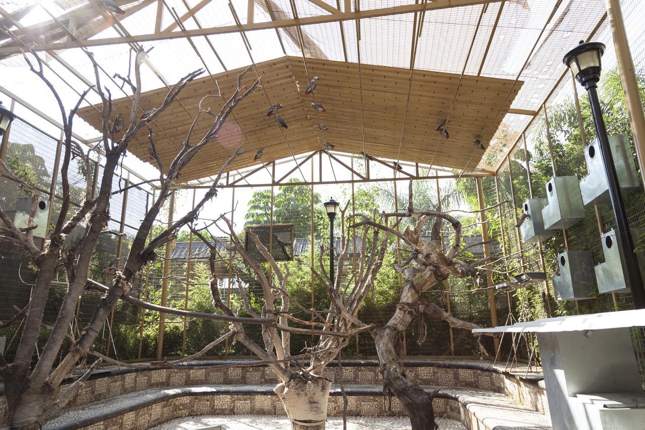 Bungalows Y Temazcal Zoviq Hotel โซชิเตเปก ภายนอก รูปภาพ