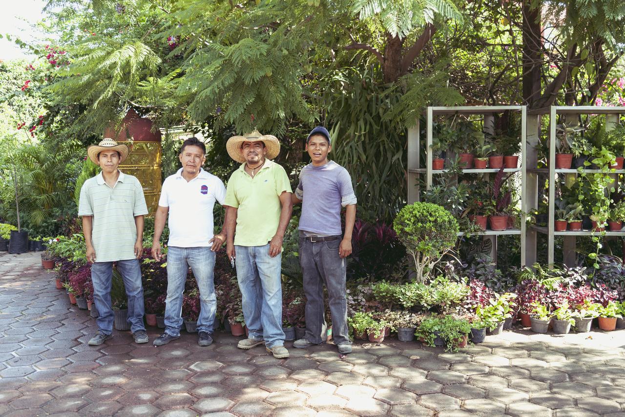 Bungalows Y Temazcal Zoviq Hotel โซชิเตเปก ภายนอก รูปภาพ
